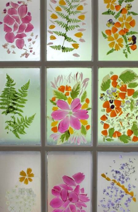 pressed flowers in glass windows
