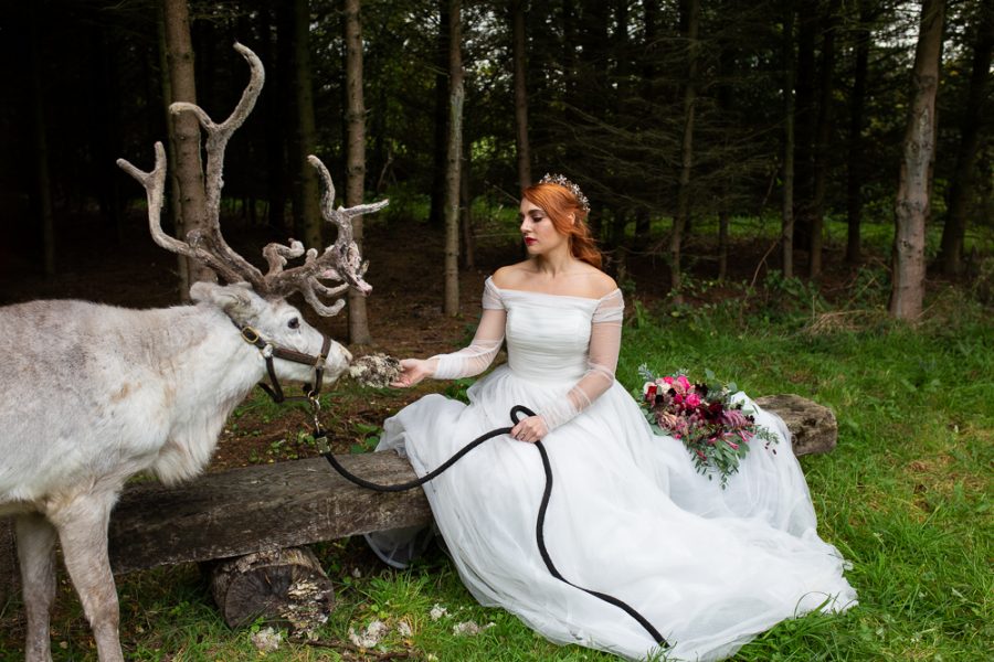 Winter Woodland Wedding Inspiration with Burgundy and Gold Touches