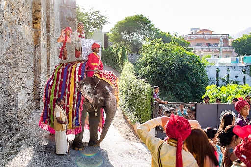 Animals at Weddings - How to Incorporate Them Into Your Wedding Day