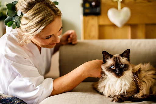 Animals at Weddings - How to Incorporate Animals Into Your Wedding Day