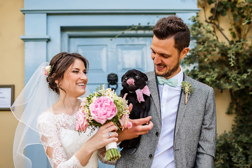 Animals at Weddings - How to Incorporate Them Into Your Wedding Day