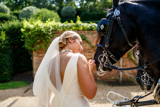 Animals at Weddings - How to Incorporate Animals Into Your Wedding Day