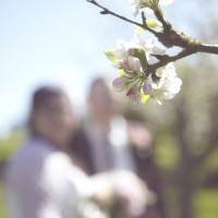 Dan and Maddi's Vintage Americana Country Wedding by Natalie J Weddings and featured on The National Vintage Wedding Fair