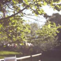 Dan and Maddi's Vintage Americana Country Wedding by Natalie J Weddings and featured on The National Vintage Wedding Fair