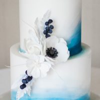 Boho Beach Wedding with Ombre Dress and Blue Wedding Cake