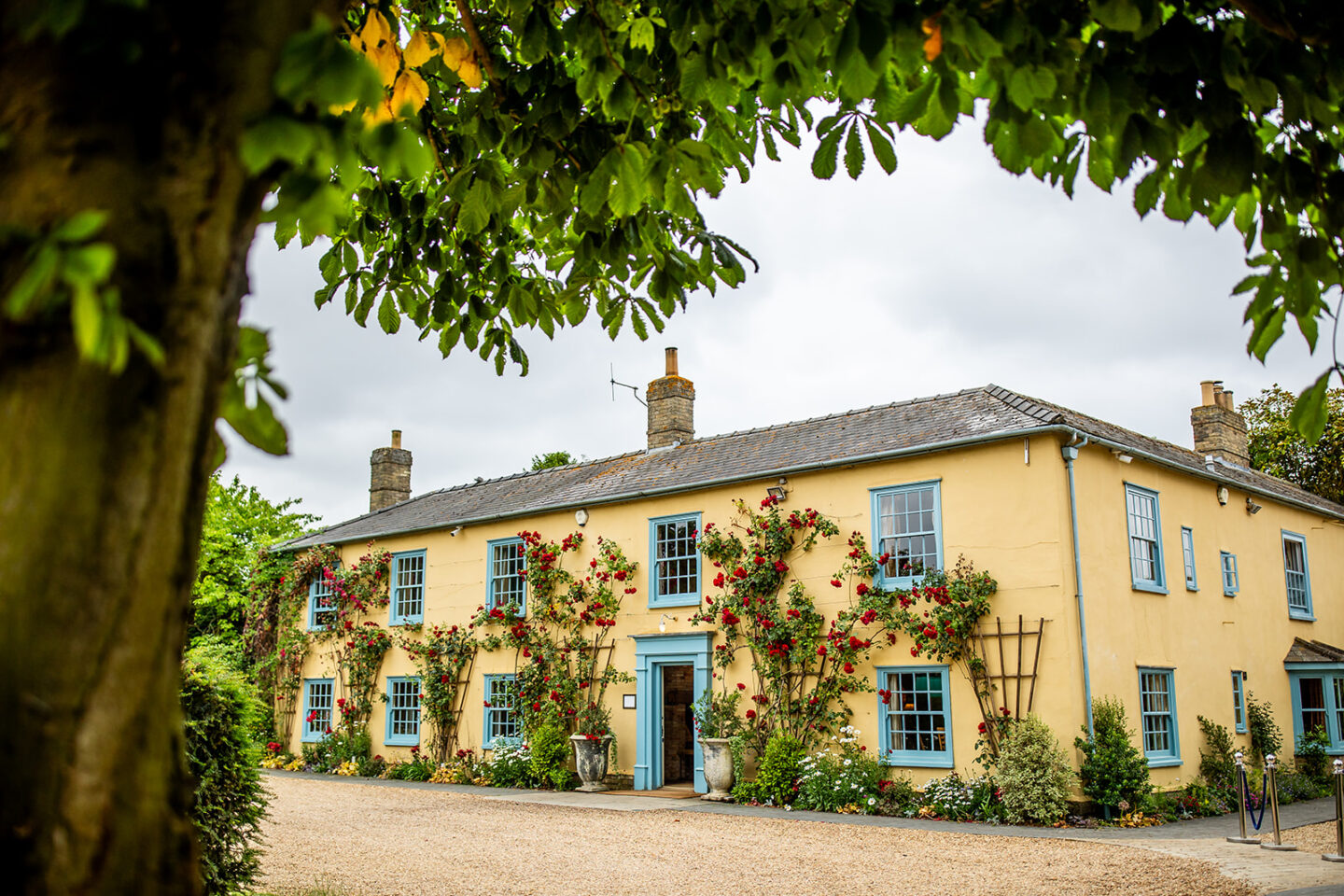 Lavender-Themed Outdoor Wedding at South Farm, Cambridge